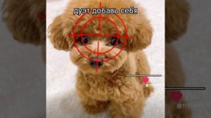 бе