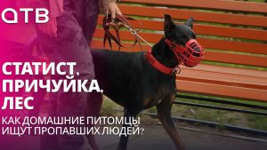 Статист, причуйка, лес. Как домашние питомцы ищут пропавших людей?