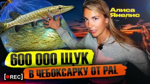 PAL и МИДА зарыбляют щукой Чебоксарское водохранилище! Ночной спец репортаж