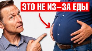 Вздутие после еды: дело НЕ в еде, а в пищеварении