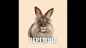 Не знаю зачем но вот вам Газан черемша