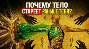 26. Скованность в теле это не возраст — это застывший страх | За Гранью Кода
