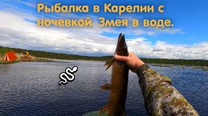 Рыбалка. В Карелии с ночевкой. Ловля щуки на спиннинг. Змея в воде. Сосновый лес.