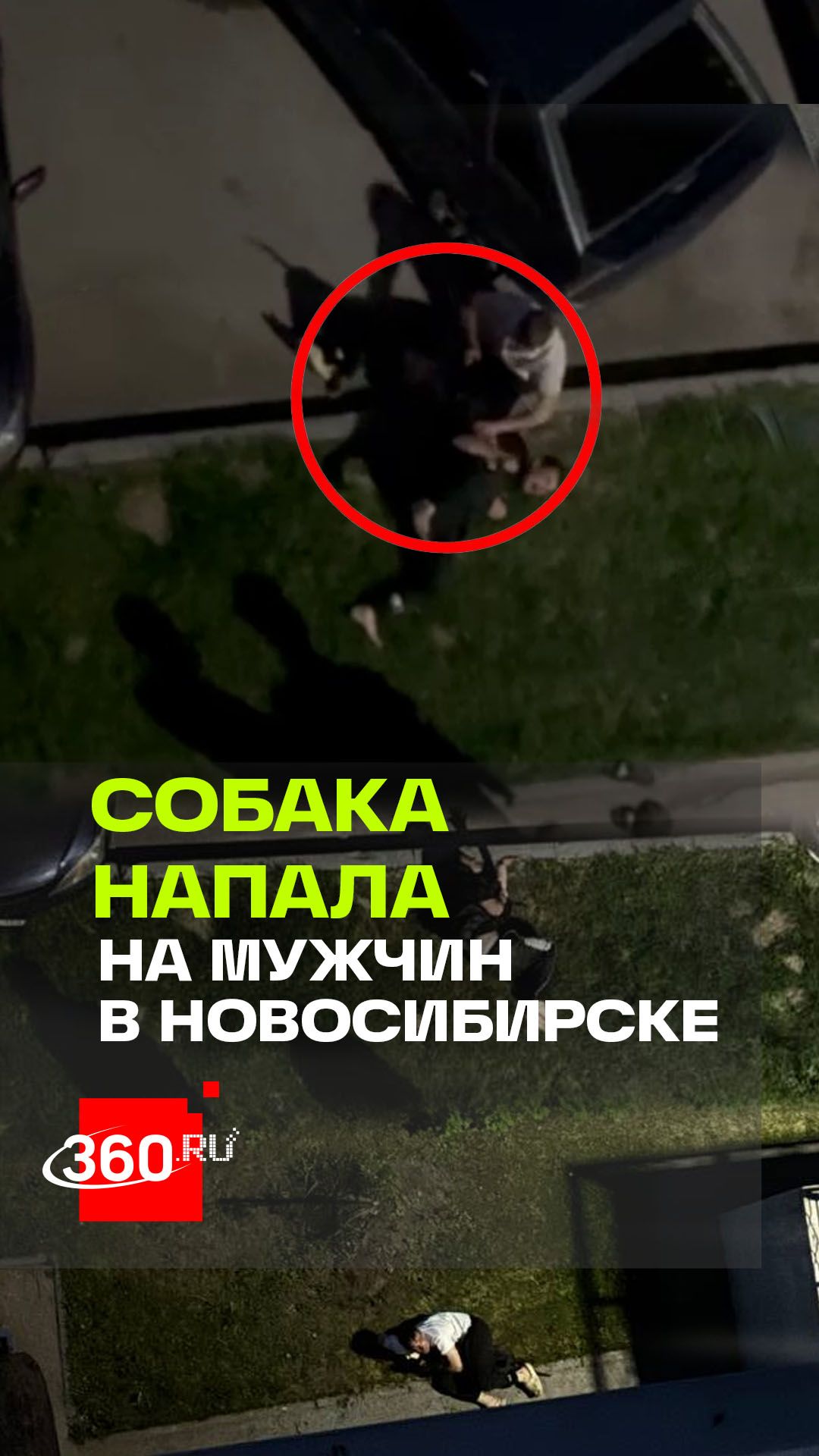 В Новосибирске двоим мужчинам пришлось отбиваться от крупной агрессивной собаки