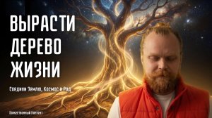 Медитация Дерево Жизни - Божественный Контент (10.11.2024)