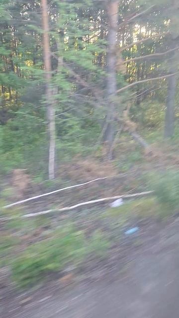 Поехали со своего города, едем в другой город