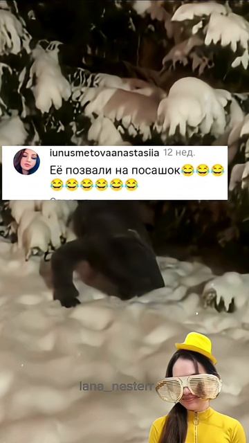 Я из лесу вышел,был сильный мороз...😅 #shorts