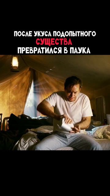 🎥 Название сериала: Паук-нуар.