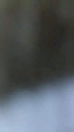 подппещись природа и общаемся