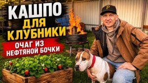 Кашпо для клубники. Утро с Тарасом