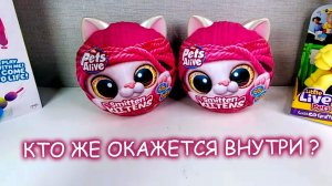 🐱🎁🐾  РАСПАКОВКА СЮРПРИЗОВ С КОТИКАМИ! 🎁 Обзор милых игрушек для детей