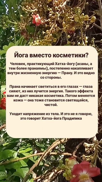 Йога вместо косметики? Мой канал телеграм Саджи в Росии