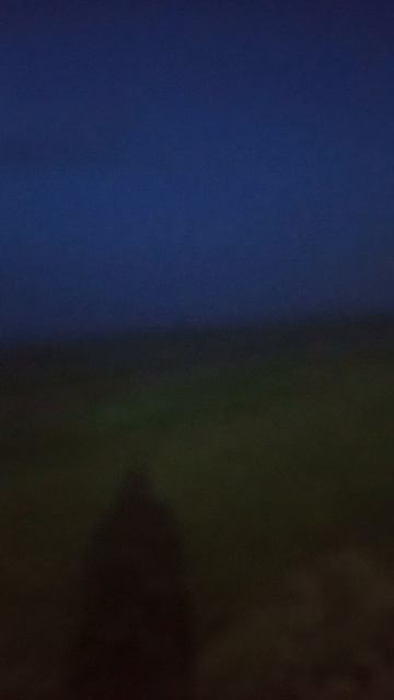1000077584.mp4 смотреть онлайн