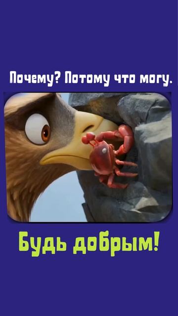 Почему Потому что могу.