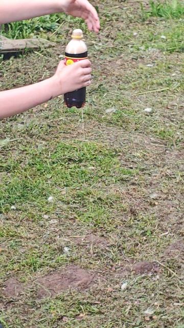 Футболит колой