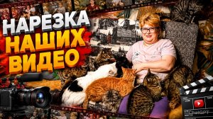 Нарезка наших видео.