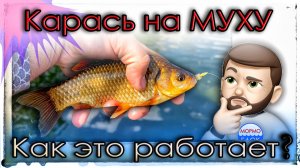 Карась на муху. Как это работает? Мастер класс от профи #мормышинг