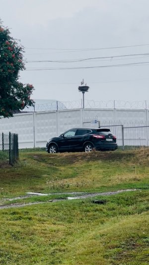 Красивый Nissan Qashqai J11 2018 г.в.