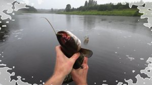 Ах, ус откусили