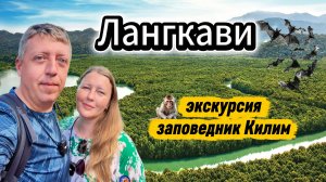 МАЛАЙЗИЯ: Заповедник КИЛИМ и Пещера Бэтмена! Самая популярная экскурсия на Лангкави | DREAM WAY