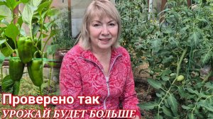 Дачные работы Делаю так и всегда с урожаем Томаты и перцы Пасынкование Подкормка Огурцы упали