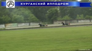 Заезд 5 (2 гит) - Приз «Отклика» для лошадей орловской рысистой породы 4-х лет. 1600 м.