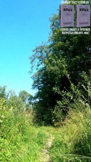 У меня вот такая проблема