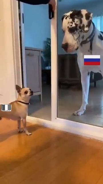 Коротко о политической обстановке ... смотреть онлайн