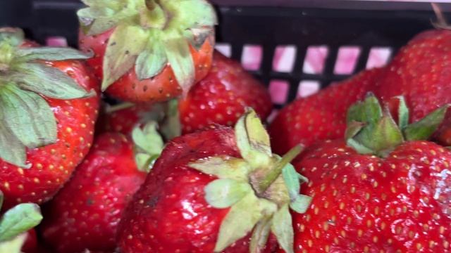 Главный вкус июня