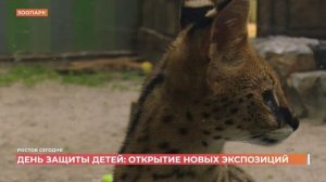 Ростов сегодня: вечерний выпуск. 2 июня 2026