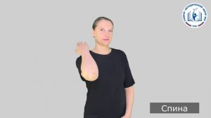 13 - Части тела - Спина