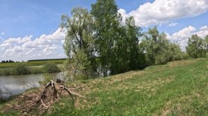 Красота