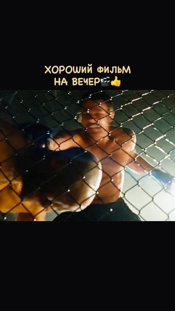 Сделал ставку на бойца 😨😨