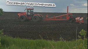 Посевная подсолнечника 2026. Кировец 746м.
