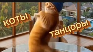 ТАНЦУЮЩИЕ КОТИКИ ПОДНИМАЮТ НАСТРОЕНИЕ 🐾💃