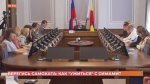 Берегись самоката: как ужиться с СИМами?