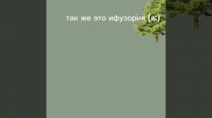 идея Пажы