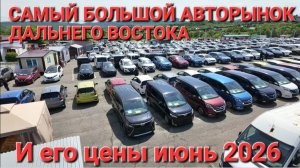 САМЫЙ КРУПНЫЙ АВТОРЫНОК ВЛАДИВОСТОКА В ИЮНЕ 2026, ЦЕНЫ ВИДЕО