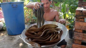 Готовим угрей с пивом, рецепт приготовления вкусного супа из угрей