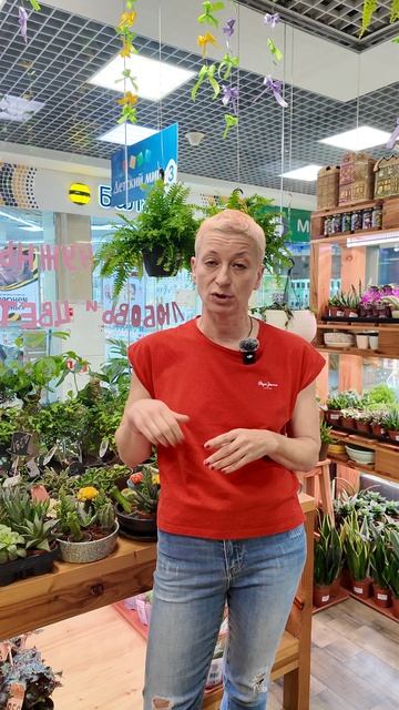 Каналы про растения, которые я смотрю