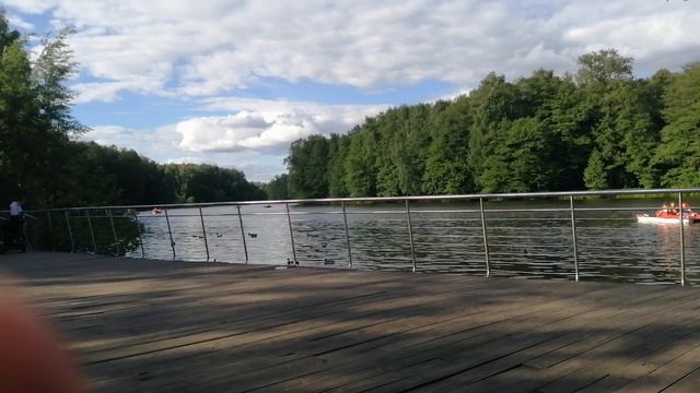 VID_20260601_172600.mp4 смотреть онлайн