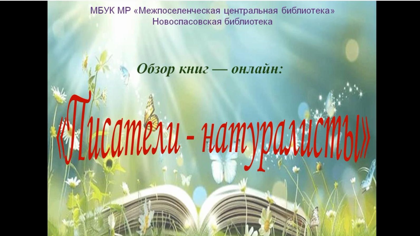 Обзор книг-онлайн 