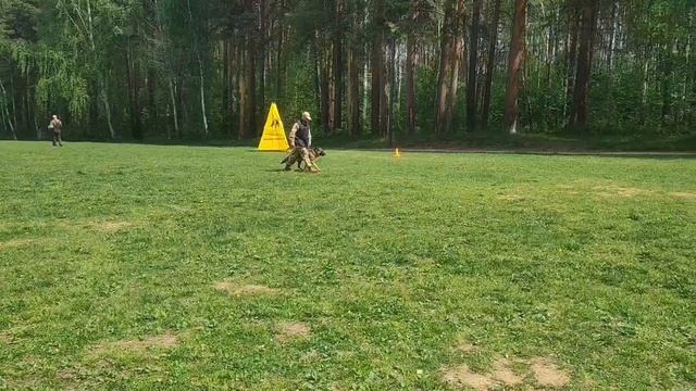 6.  выражено/перв ЧАНДИ (Леннон из Белого Яра – Уральский Триумф Абсолютная Любовь)