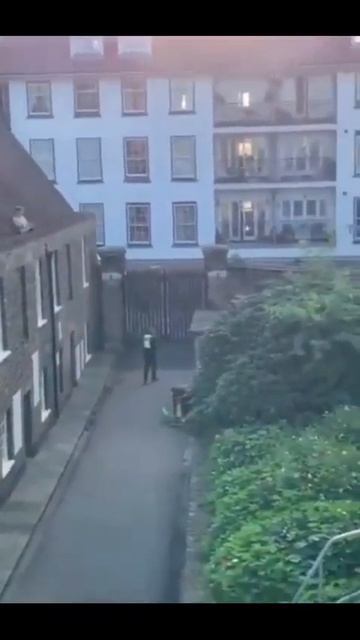 Видео от Департамент Кринжовых Видосов | ДКВ