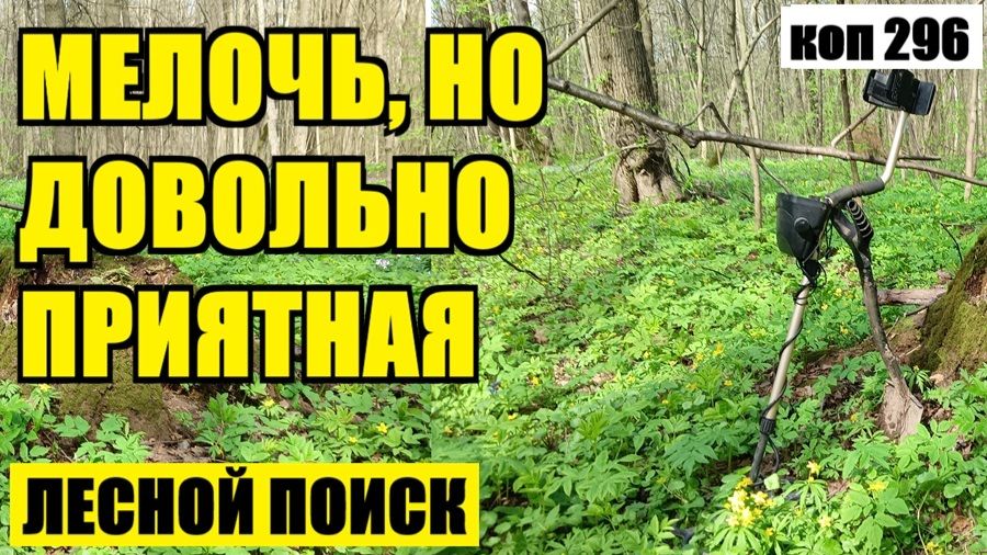 ЛЕС ПРОДОЛЖАЕТ РАДОВАТЬ СВОИМИ ПОДАРКАМИ коп 296 смотреть онлайн