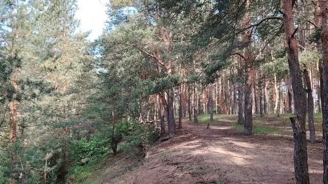 На пути к проблемам
