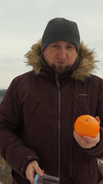 Апельсин это специя, как думаете?