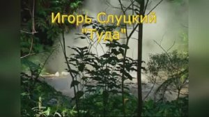 Караоке  «Туда»,  Игорь Слуцкий, 2004г.