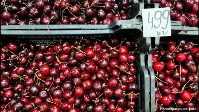 Россельхознадзор запретил ввоз из Армении косточковых плодов.
