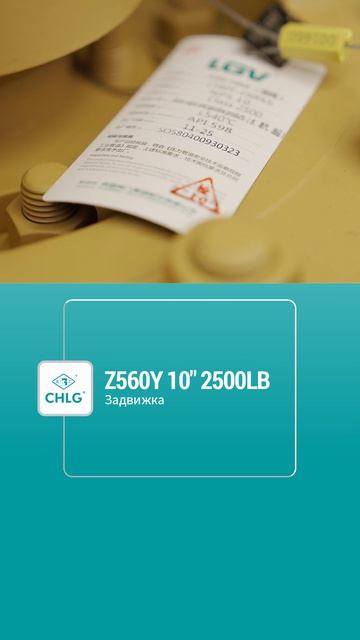 Z560Y 10'' 2500LB Запорный затвор-CHLG